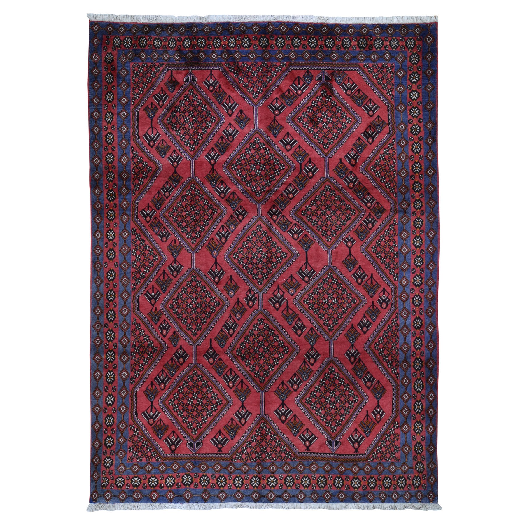 8'x11'3" Red New Persian Hamadan Serrated leaf Design Pure Wool Hand Woven Rug 